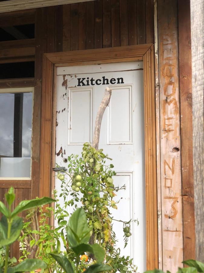 No 3 @ Bed In A Shed B&Bs Watervale 외부 사진