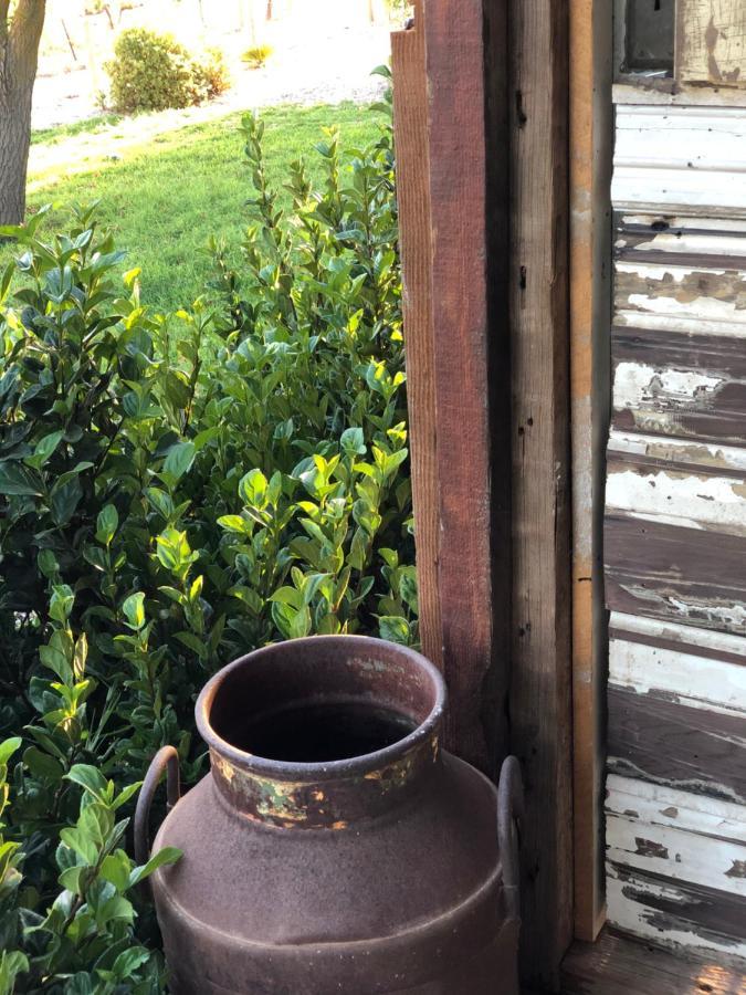 No 3 @ Bed In A Shed B&Bs Watervale 외부 사진